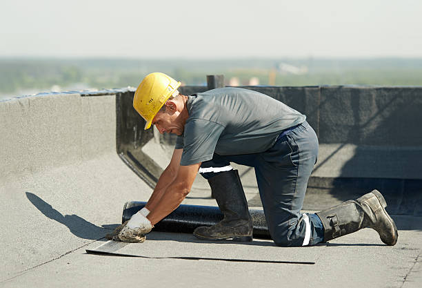 Best Specialty Insulation in Chamberlayne, VA
